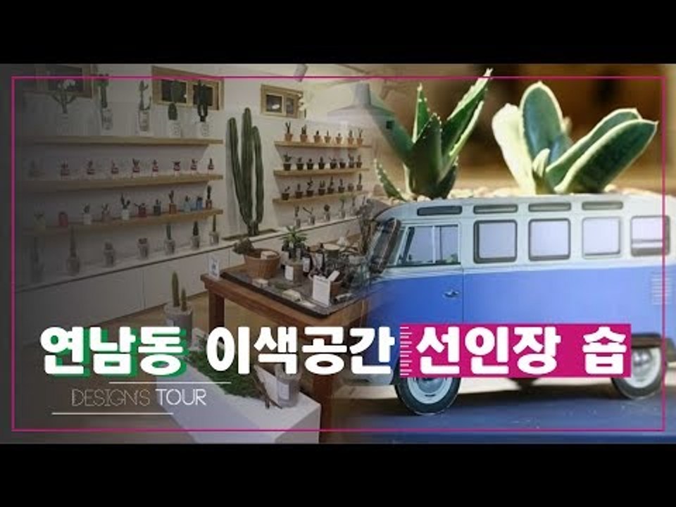 국내 최초! 연남동에 위치한 커스텀 선인장 숍 [디자인스 투어] 8회
