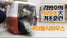 반려견 훈련법 I ‘이동식 하우스’ 훈련 이렇게 해보세요! I 김평호의 120초 犬기초훈련