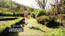 [67회 예고] 가수 강민주의 반려견 라이프