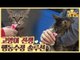 빙꼬와 치치! 고양이 전쟁의 행동수정 솔루션 [식빵굽는 고양이 시즌2] 35회