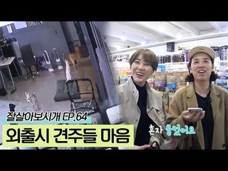 잠깐의 외출에도 견공들이 보고 싶은 견주들의 마음