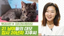 21마리 고양이들의 대모! 집사 20년 차 지후 씨 [펫과사전] 5회