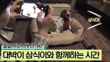 손님맞이 준비를 하는 학묵 씨와 대박이&삼식이