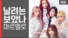 락앤롤 걸스밴드 마르멜로! 플라잉 디스크 실력은!? [세이브펫챌린지] 10회