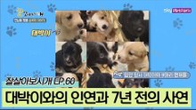 대박이와의 인연과 7년 전 떠나보낸 삼식이와의 인연