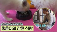 유치원에 간 홍춘, 식탐 때문에 학부모 소환하다?