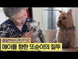 질투쟁이 또순이와 새로운 가족 메이 [잘살아보시개] 2회