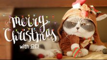 [크리스마스 ID]  내가 조선의 요다다, Merry Christmas with 요다