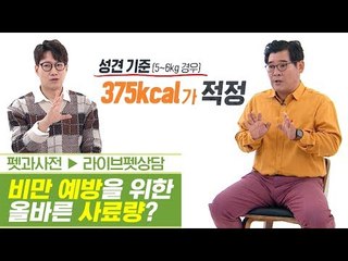 반려동물 비만 예방을 위한 올바른 사료량은? [펫과사전] 4회