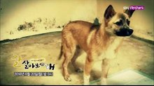 [4회 예고] 철창 밖 푸우의 눈에 비친 세상은? [잘살아보시개