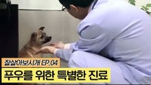 푸우를 위한 특별한 진료 [잘살아보시개] 4회
