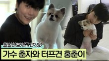 가수 춘자와 파티 포메라니안 터프견 홍춘이