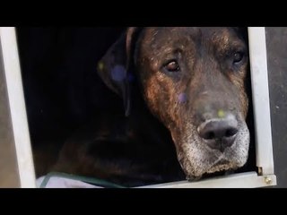 [6회 예고] 킹이의 웃음을 되찾을 수 있을까? [잘살아보시개]