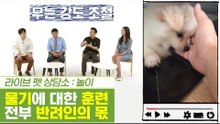 무는 강도 훈련은 반려인의 몫 & 고양이 채터링 [펫과사전] 6회