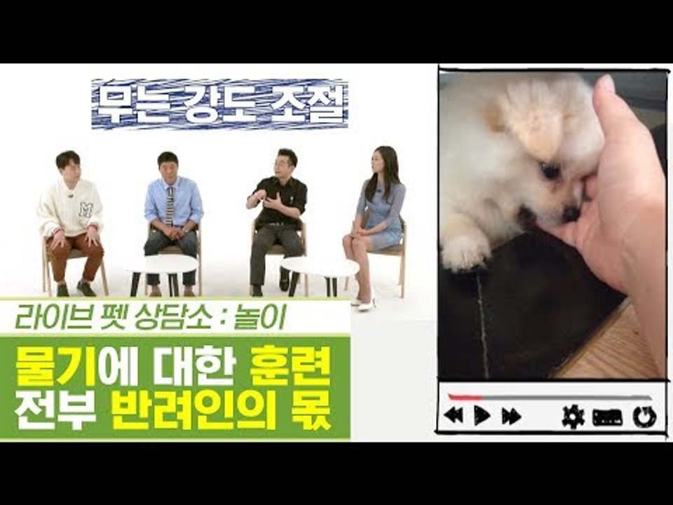 무는 강도 훈련은 반려인의 몫 & 고양이 채터링 [펫과사전] 6회
