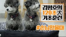 반려견 훈련법 I ‘손님이 왔을 때’ 훈련 이렇게 해보세요! I 김평호의 120초 犬기초훈련