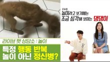 심각한 특정 행복 반복, 놀이가 아닌 정신병? [펫과사전] 6회