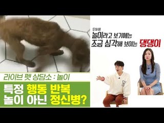 심각한 특정 행복 반복, 놀이가 아닌 정신병? [펫과사전] 6회