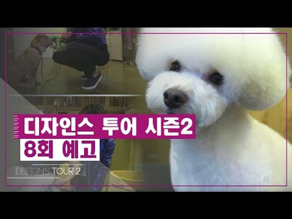 [8회 예고] 디자인스 투어 시즌2, 여덟 번째 키워드 ‘펫팸 디자인’