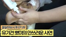 유기견 뽀미의 안쓰러운 사연 [잘살아보시개] 9회