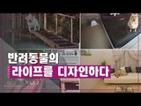 반려동물의 라이프를 디자인하다 [디자인스 투어 시즌2] 8회