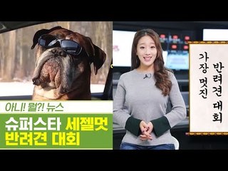 글로벌 슈퍼스타犬에 도전! ‘세.젤.멋 반려견 대회’ [펫과사전] 7회