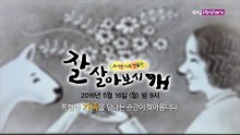 [1차 티저] 특별한 가족을 만나는 순간이 찾아온다 [잘살아보시개]