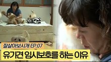 유기견 임시보호를 하는 이유 [잘살아보시개] 7회