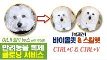 반려동물과 영원히 산다? ‘클로닝 서비스’ [펫과사전] 8회