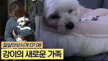 강이가 새로운 가족을 만나는 날 [잘살아보시개] 8회