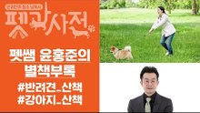 [윤홍준의 별책부록] 반려견과 뗄래야 뗄 수 없는 산책!