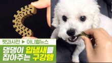 댕댕이 치아 건강과 입 냄새를 잡아줄 구강템 [펫과사전] 3회
