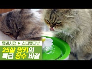 국내 최고령! 25살 밍키의 특급 장수 비결! [펫과사전] 4회