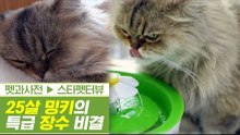 국내 최고령! 25살 밍키의 특급 장수 비결! [펫과사전] 4회