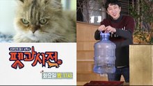 [4회 예고] 펫과사전 With 슬리피&최장수묘, 11월 13일 (화) 밤 11시