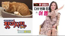 [5회 예고] 펫과사전 With 김영희&20냥이와 집사, 11월 20일 (화) 밤 11시
