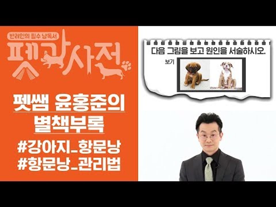 [윤홍준의 별책부록] 반려동물 배변, 고양이 화장실로 알맞지 않은 곳은?