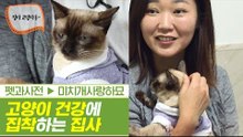 고양이들의 건강에 집착(?) 하는 집사의 사연 [펫과사전] 5회