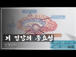 뇌 건강의 중요성 [인생미학] 1회