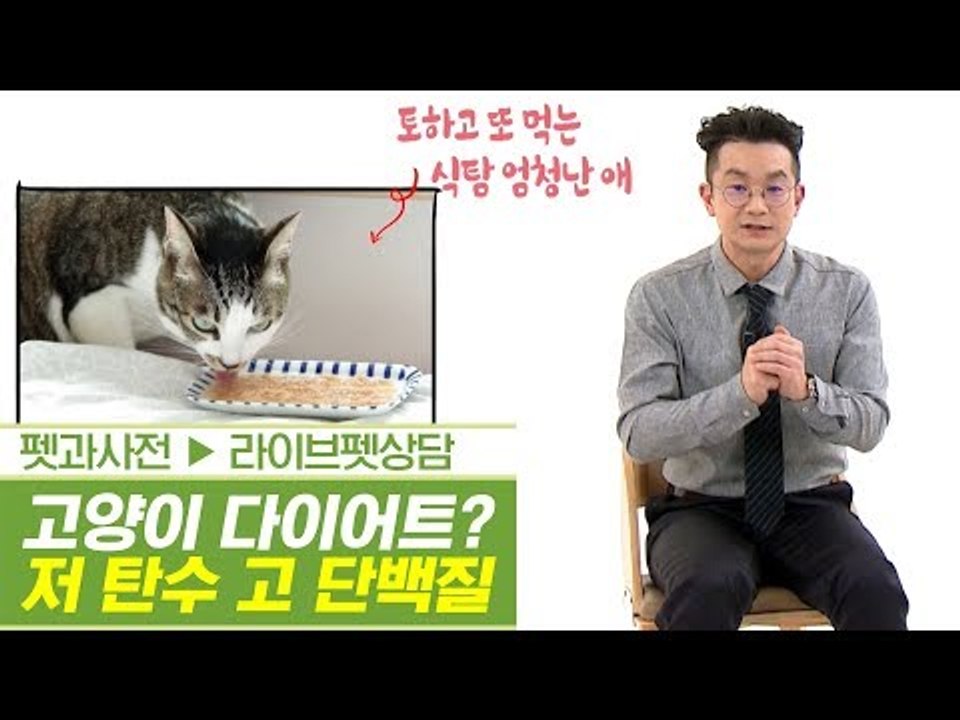 고양이 다이어트 필독! 저탄 고단의 습식사료 [펫과사전] 4회