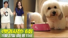 [6회 예고] 펫과사전 With 대도서관×윰댕 부부, 11월 27일 (화) 밤 11시