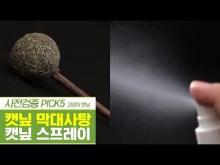 오감 만족템 캣닢 막대사탕 & 페로몬 향수 캣닢 스프레이 [펫과사전] 10회