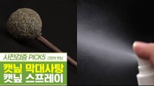 오감 만족템 캣닢 막대사탕 & 페로몬 향수 캣닢 스프레이 [펫과사전] 10회