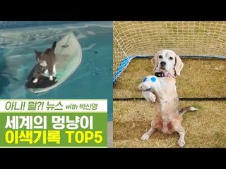 이색기록을 가진 세계의 멍냥이 TOP5 [펫과사전] 10회