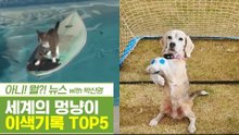 이색기록을 가진 세계의 멍냥이 TOP5 [펫과사전] 10회