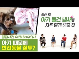 아기 때문에 반려동물이 질투를 한다? [펫과사전] 10회