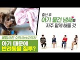아기 때문에 반려동물이 질투를 한다? [펫과사전] 10회