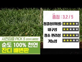 피톤치드! 순도 100% 살아있는 천연 잔디 배변판 [펫과사전] 9회