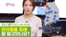 반려동물 장례, 얼마나 알고 계시나요? [펫과사전] 8회