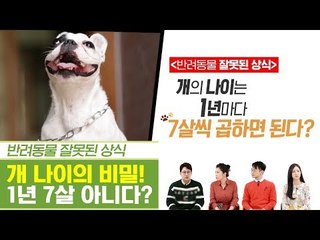개의 비밀! 1년에 7살이 아니다? [펫과사전] 11회